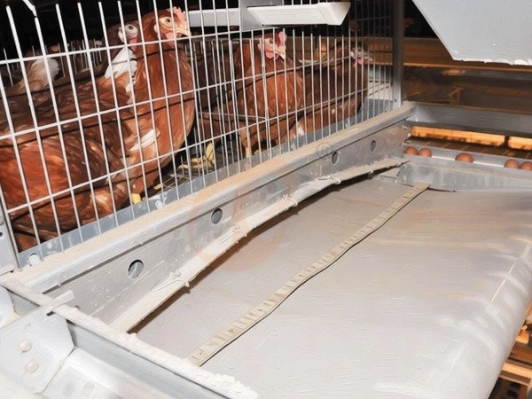 Manure Removal System3 (3)