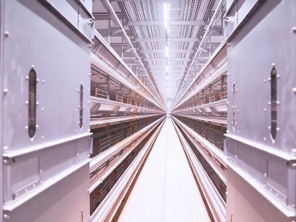 Integrated Facilities1 (6)