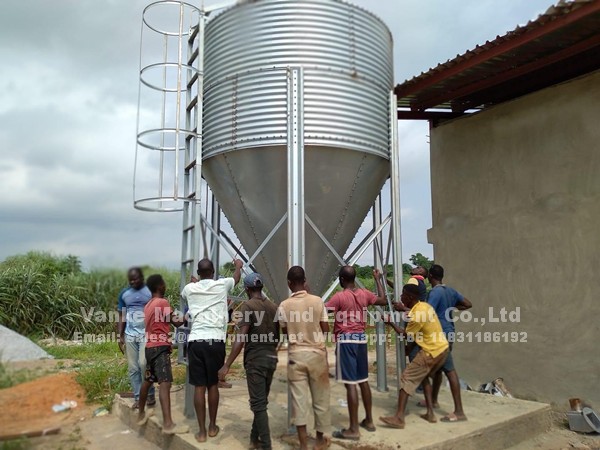 How to start a poultry farm with A type automatic chicken cage and equipment in Nigeria