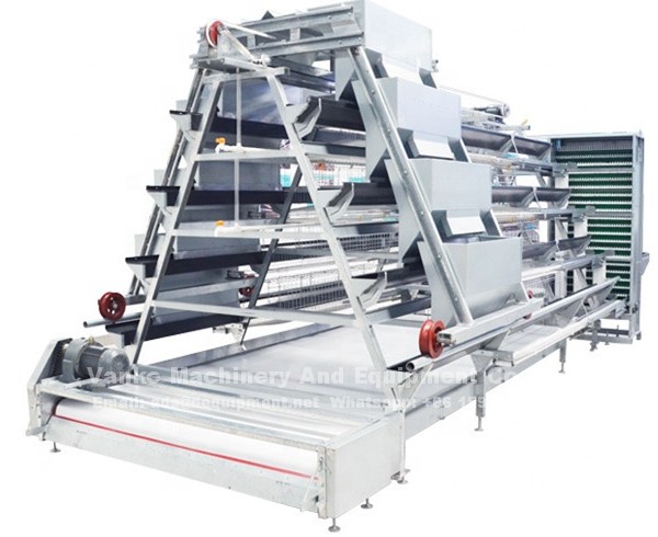 Automatic poultry farm layer battery cage system in Nigeria