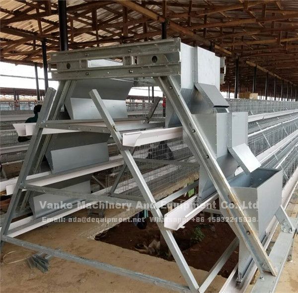 Automatic poultry farm layer battery cage system in Nigeria