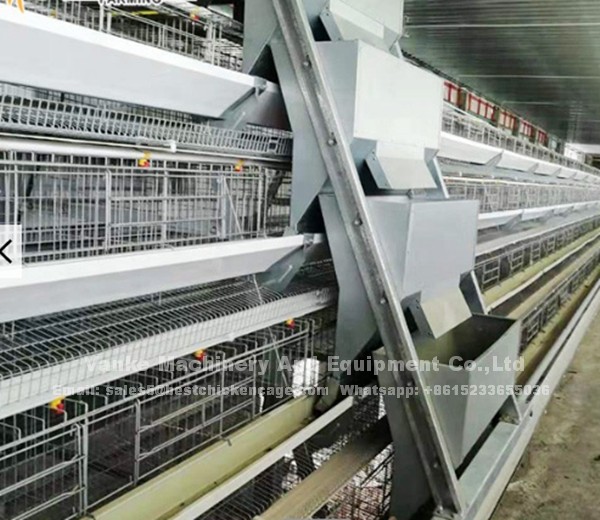 Nigeria poultry automatic H type layer farm chicken cage for sale
