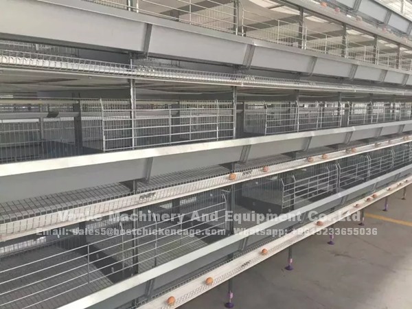 Nigeria poultry automatic H type layer farm chicken cage for sale