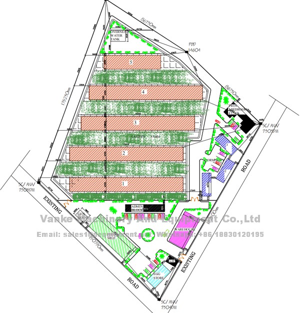 100,000 birds automatic poultry layer farm layout and poultry equipment in Nigeria