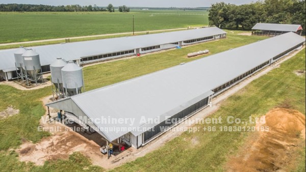 100,000 birds automatic poultry layer farm layout and poultry equipment in Nigeria