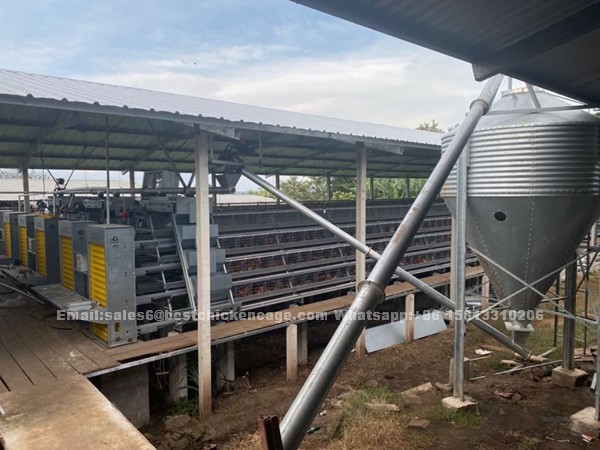 A type and H type automatic poultry layer cage farm project cases in Nigeria