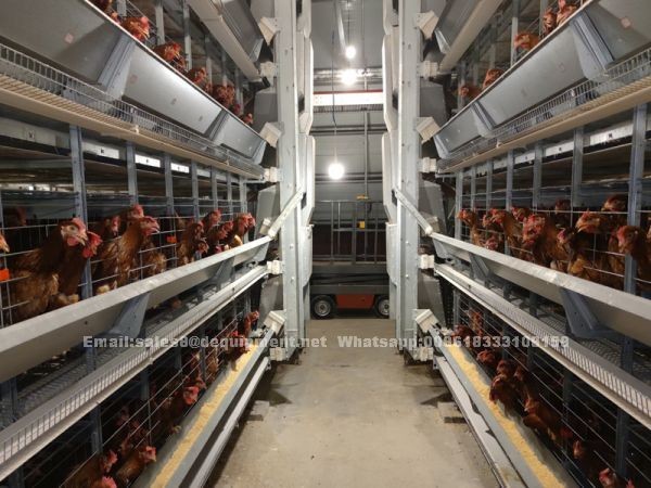 Why choose the automatic system for large farm in Nigeria