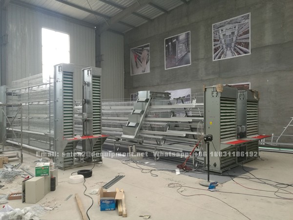 The advantages of Vanke full automatic cage in Nigeria poultry battery chicken farm