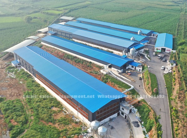 The advantages of Vanke full automatic cage in Nigeria poultry battery chicken farm