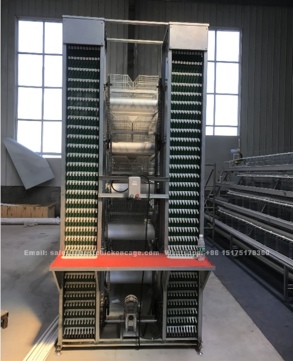Automatic chicken cage system poultry house plans for 500,000 chickens