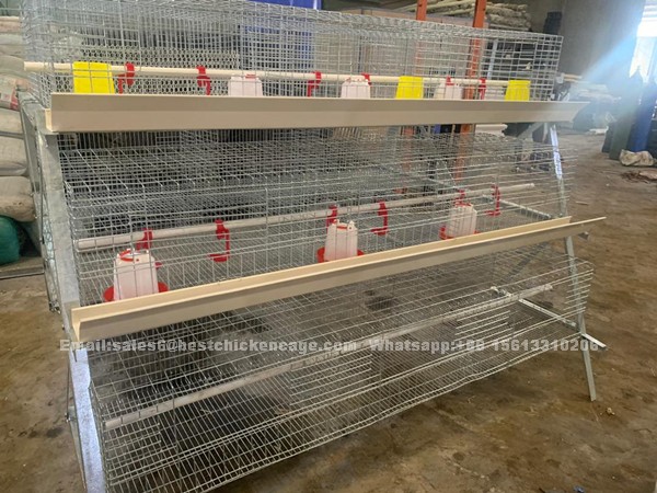 How to choose the right poultry cage in the growth cycle of egg laying chicken