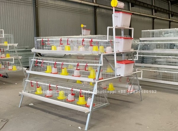 How can we choose battery cage system and poultry equipment for different kinds of chicken