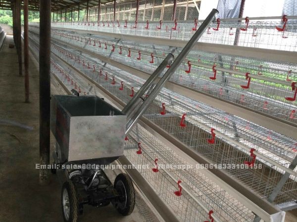 Do you know the battery cage for layers in Nigeria