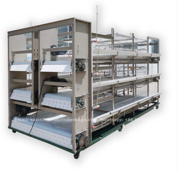 What is egg laying automatic chicken cage for sale in Lagos designer poultry house