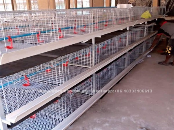 Detailed introduction of A or H type battery cage for broiler poultry farm in Nigeria