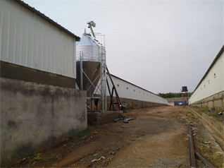 Our company finished breeder chicken cage project 