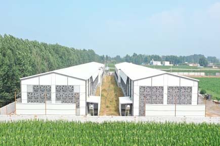 Our company finished breeder project of raising 10