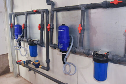 Our company finished layer project of automatic ch