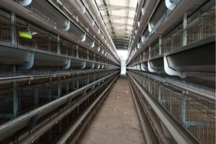 Our company finished layer project of raising 73,4