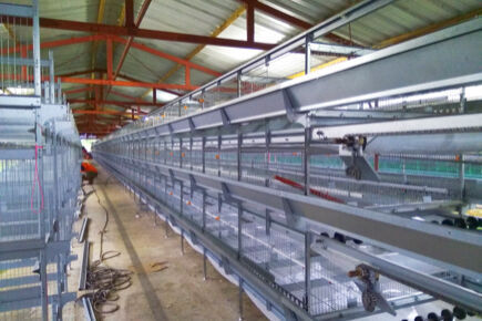 Our company finished layer project with 50m by 14m