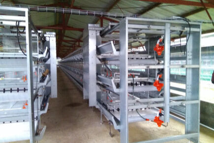 Our company finished layer project with 50m by 14m