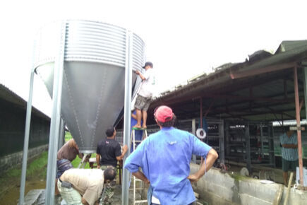 Our company finished layer project with 50m by 14m