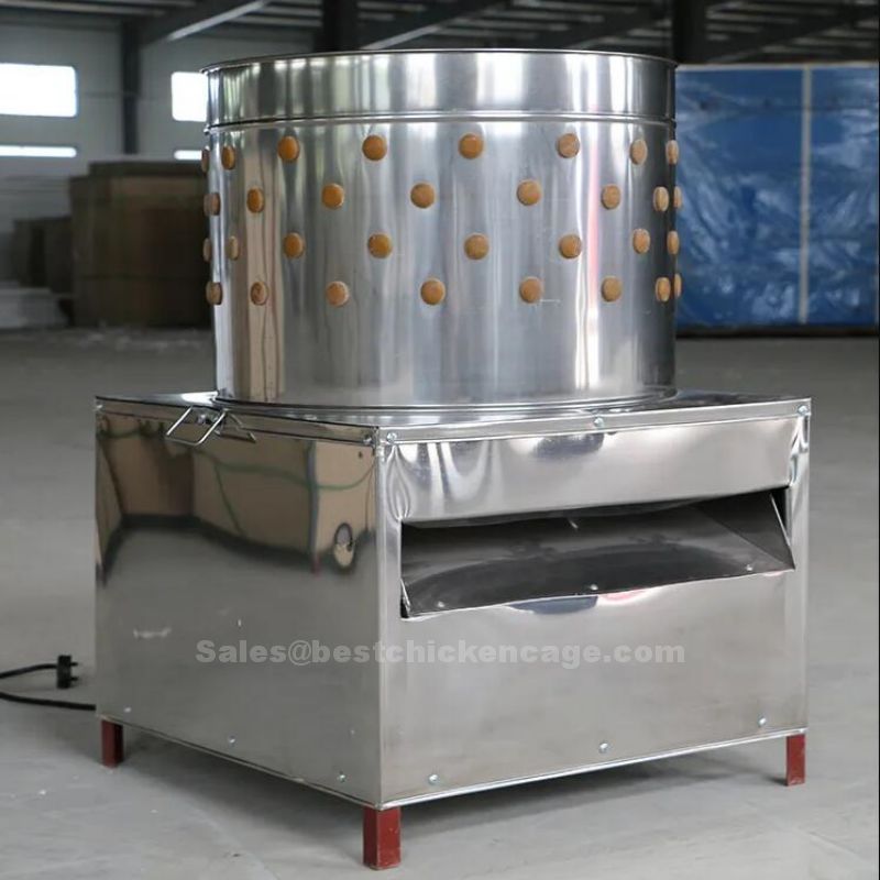 The function of scalding machine in the poultry farm The function of scalding machine in the poultry farm