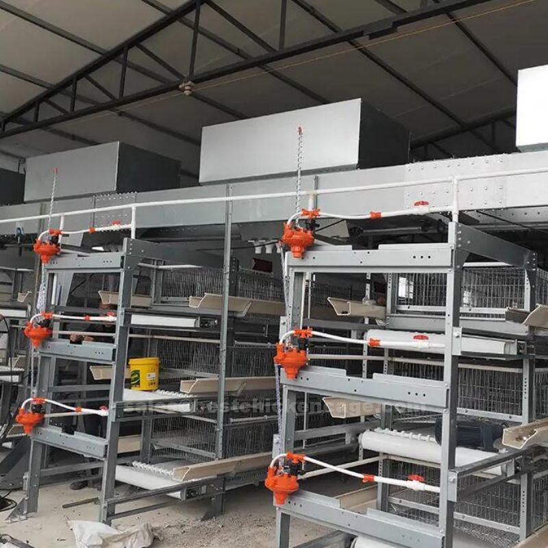 How is the manure scraper machine working