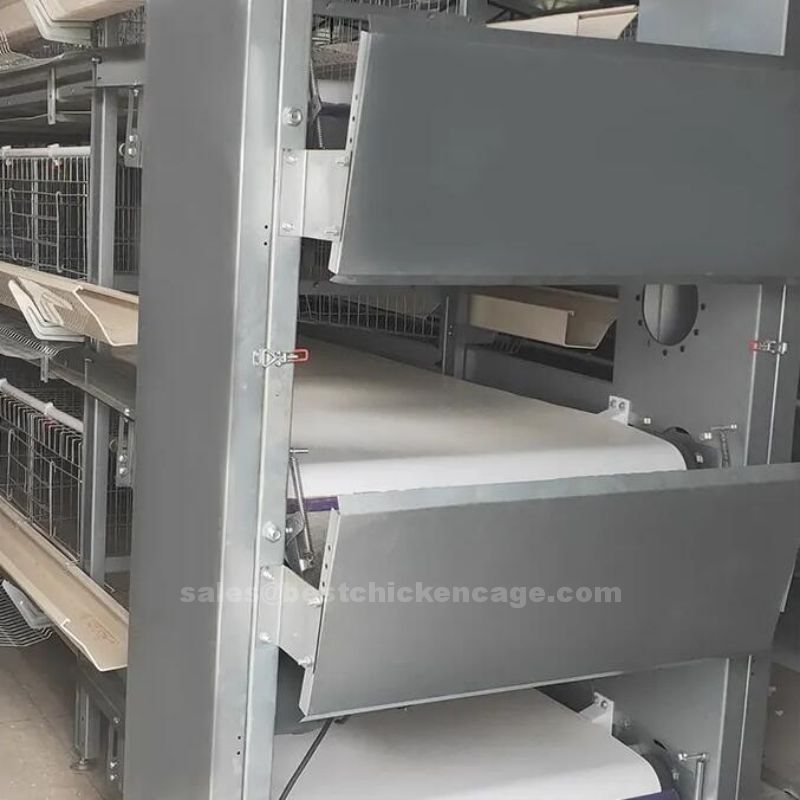 The helpful knowledge of the manure processing system in poultry farm