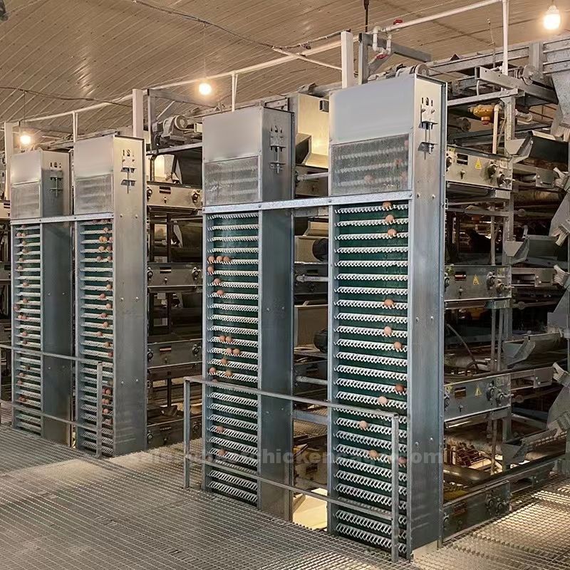 What is the difference between poultry farm battery imported cages and local cages