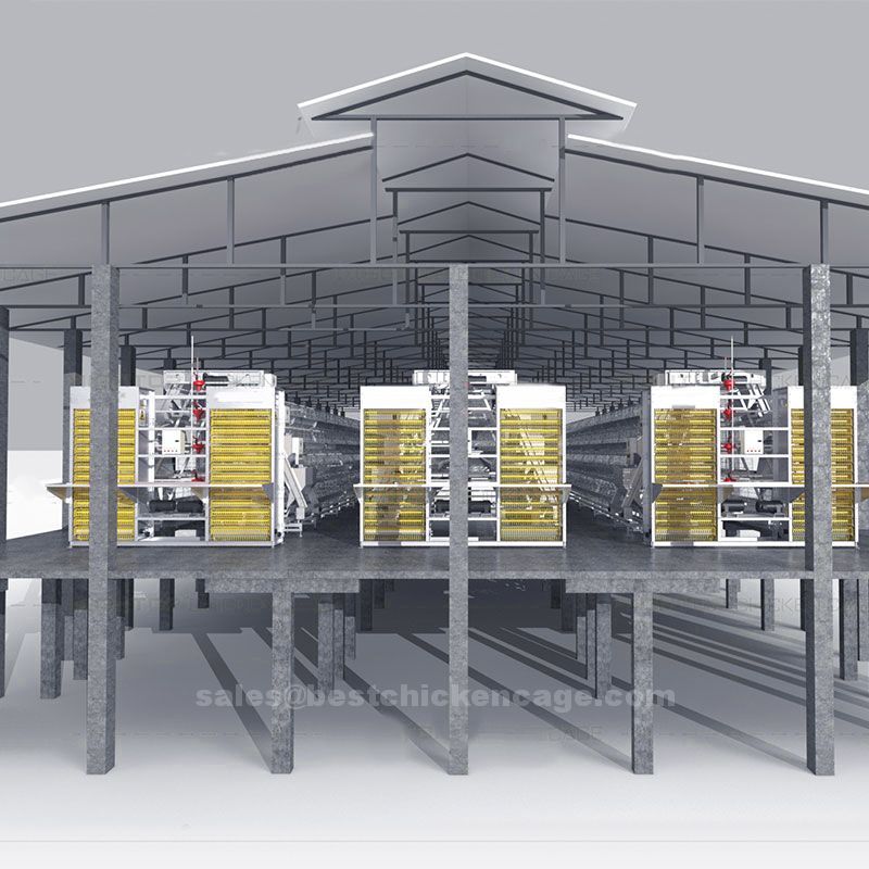 Existence of battery cage in poultry farming