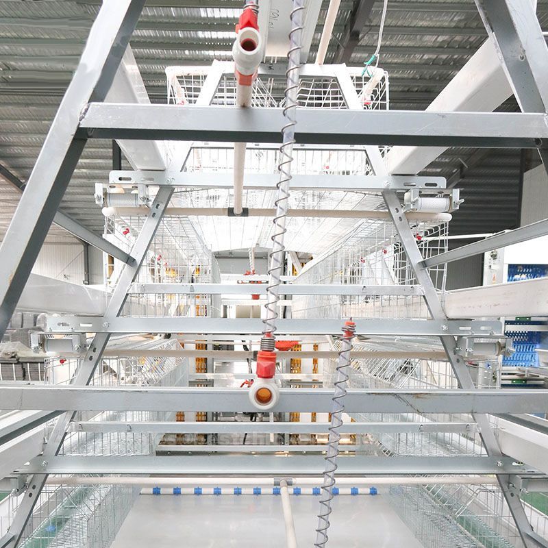 What is nutrients requirement for layers in poultry farm