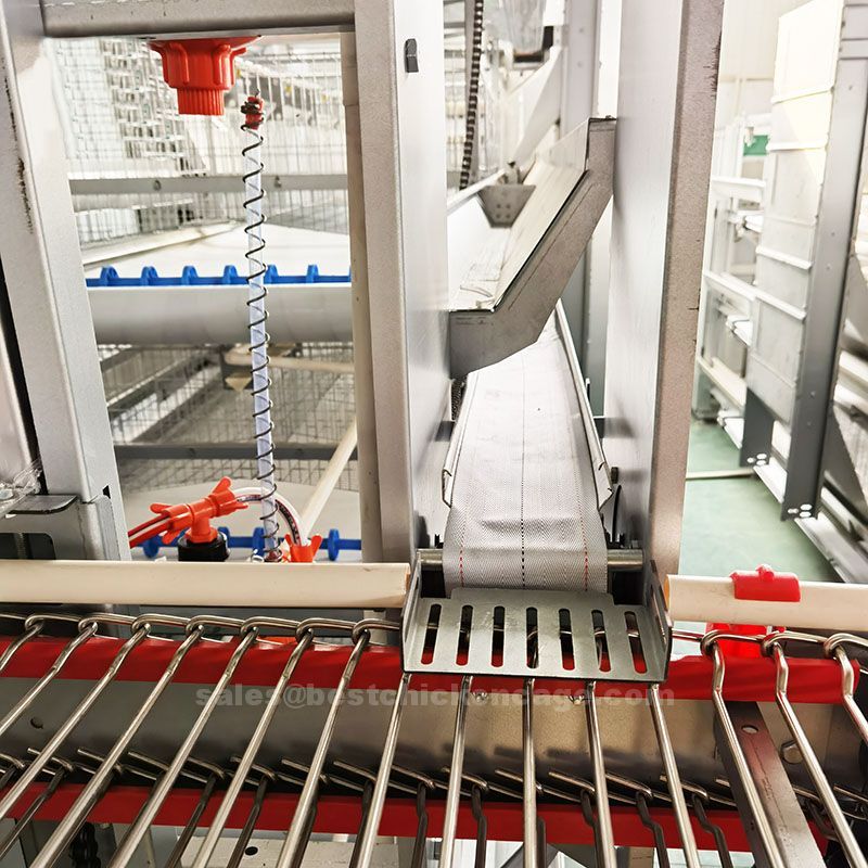 How poultry equipments working in poultry farm