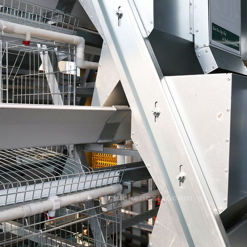 What are essential parts of chicken cage