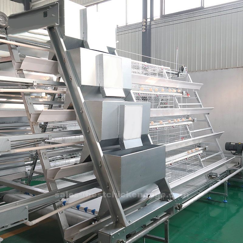 Introduction of feeding trolley to a poultry farm