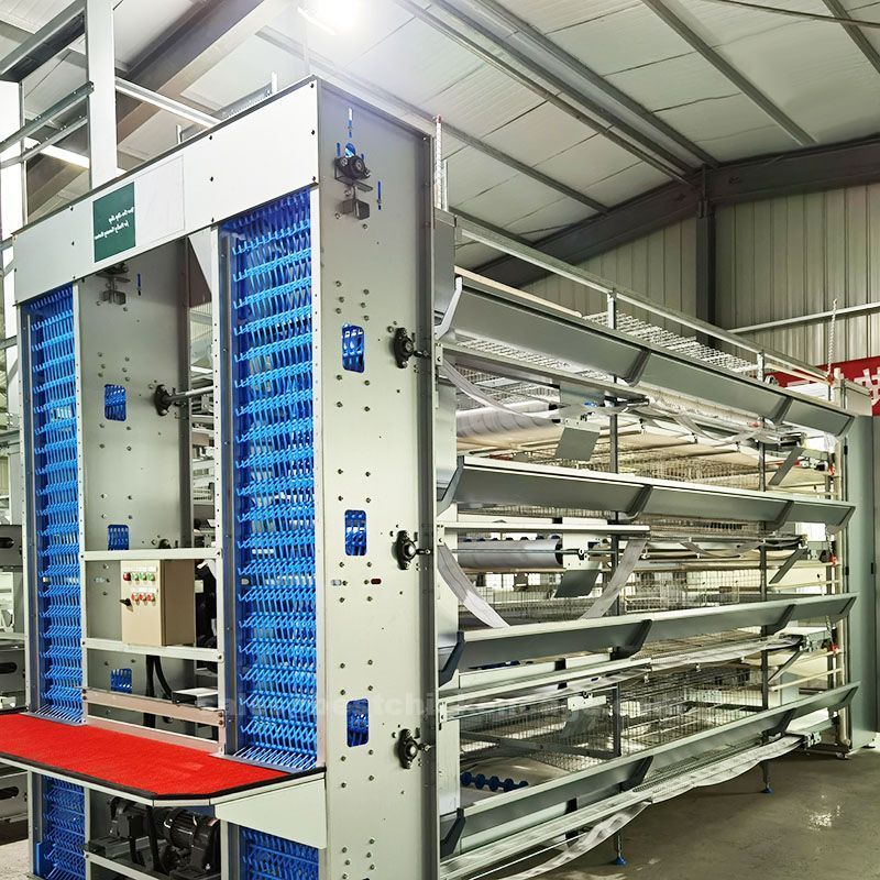 The helpful knowledge of precautions of layer cage in poultry farm