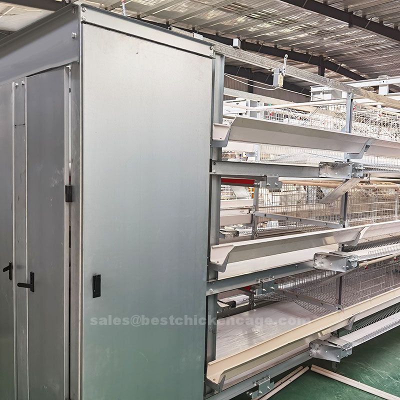 Vanke's layer chicken cages for sale