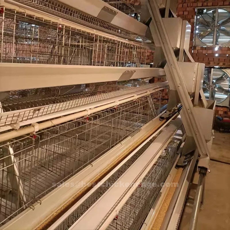 How to a type chicken layer cage is a specialized housing system that provides a controlled environment for laying hens