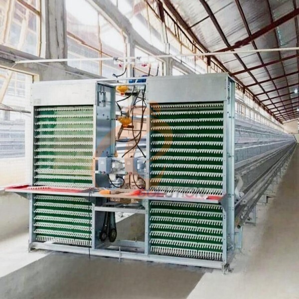 battery cage egg collection (6)