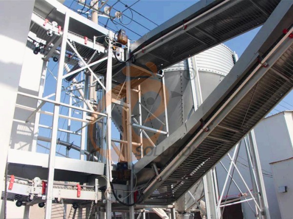 egg collection sorting package line (7)