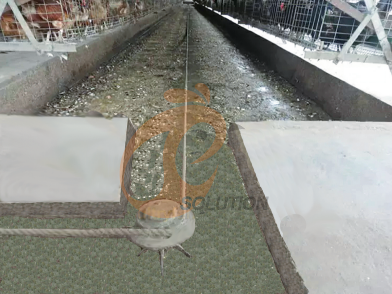 Sistema de limpieza de estiércol con raspador para jaulas de aves de corral