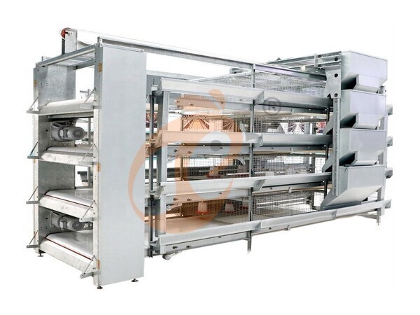 brooder pullet battery cage (27)