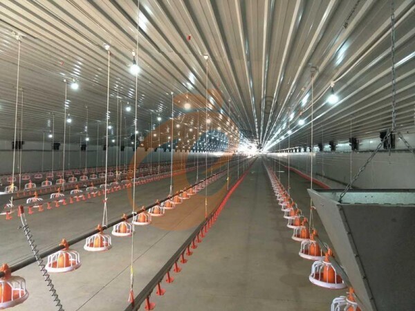 deep litter system (1)