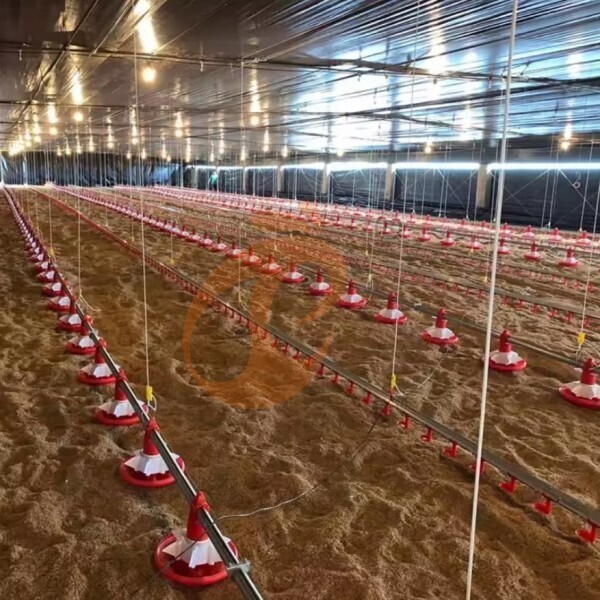 deep litter system 1 (10)