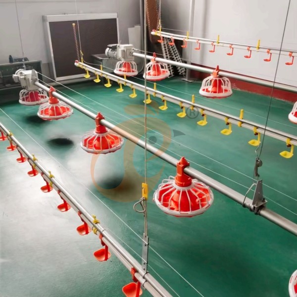 deep litter system 1 (1)