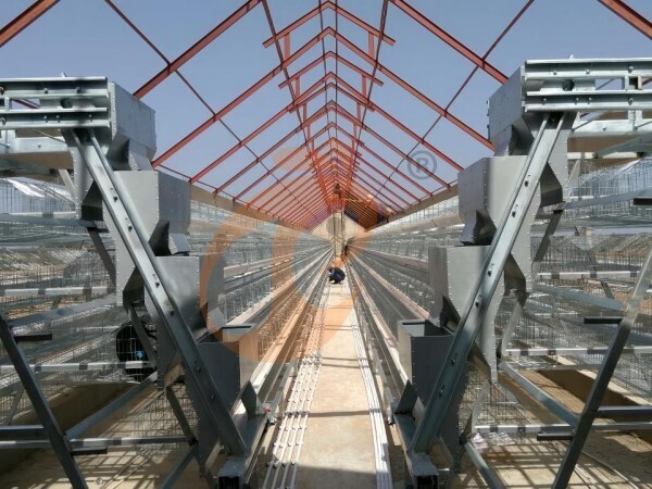 Prefab steel poultry house (3)