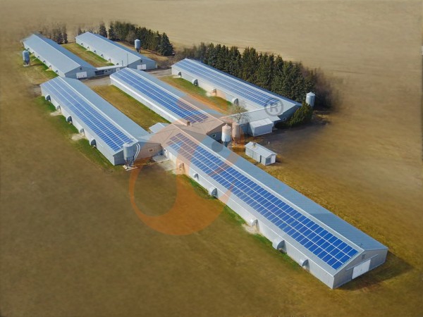 Prefab steel poultry house (11)