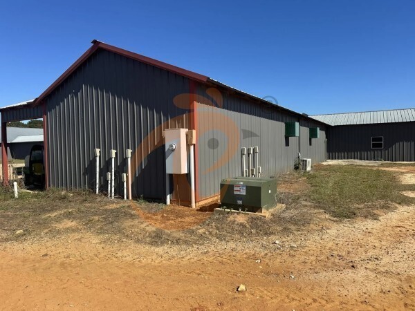 poultry farm (1)