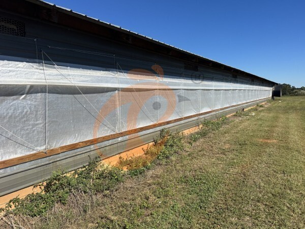 poultry farm (6)