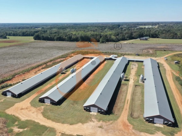 poultry farm (11)